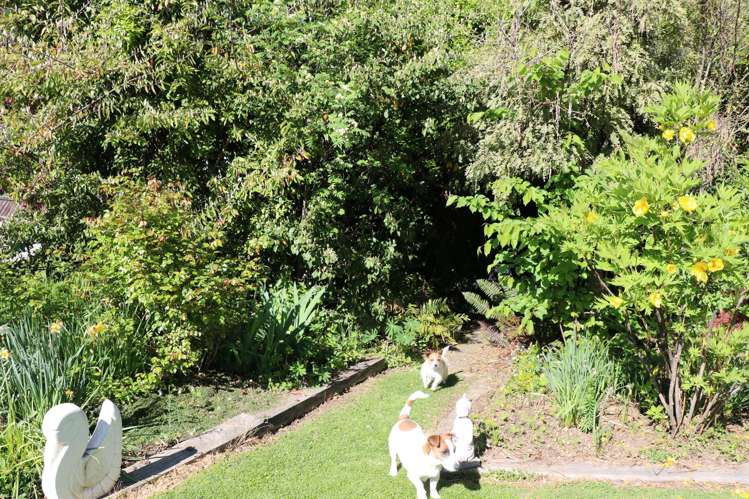 79 Mcdougall Street Wanaka_39