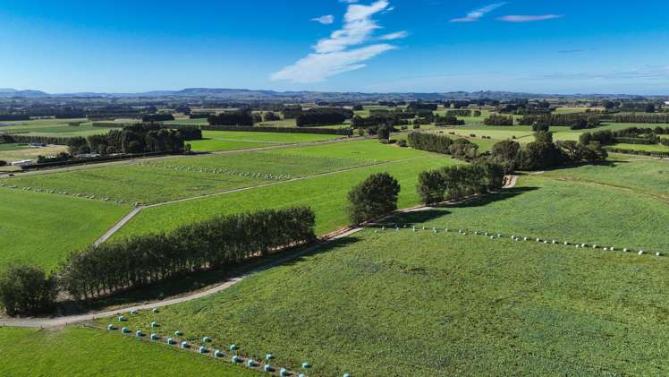 846 Pioneer Highway + 116 and 172 Ota Creek Road Edendale_3