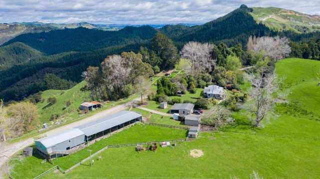 Class-leading Gisborne property keenly sought