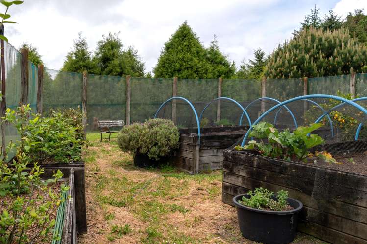 49C Olds Road Ngongotaha Valley_29