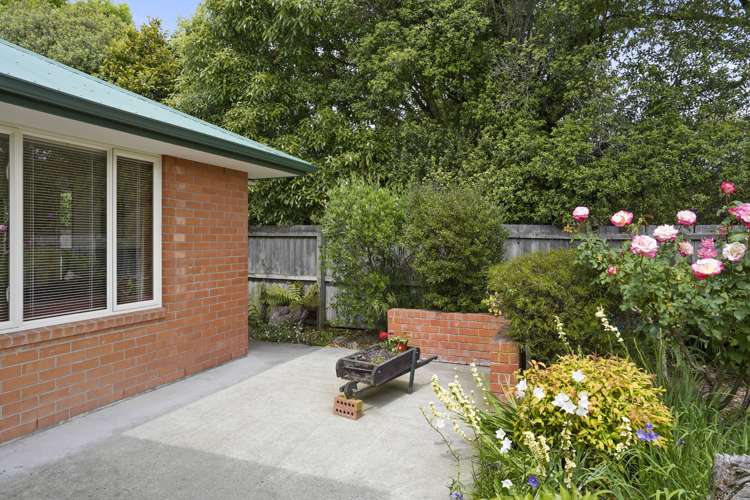 20b Aylmer Street Somerfield_18