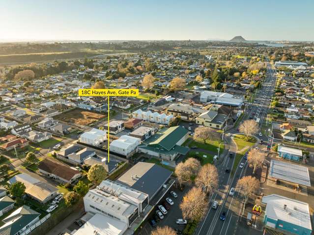 18C Hayes Avenue Gate Pa_1