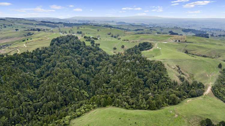 527 Barber Road Otorohanga_5