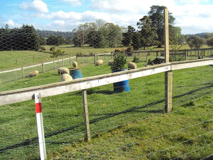 12 Mclennan Road Whakapara_13