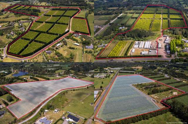 Premium irrigated horticulture land 62.22 hectares