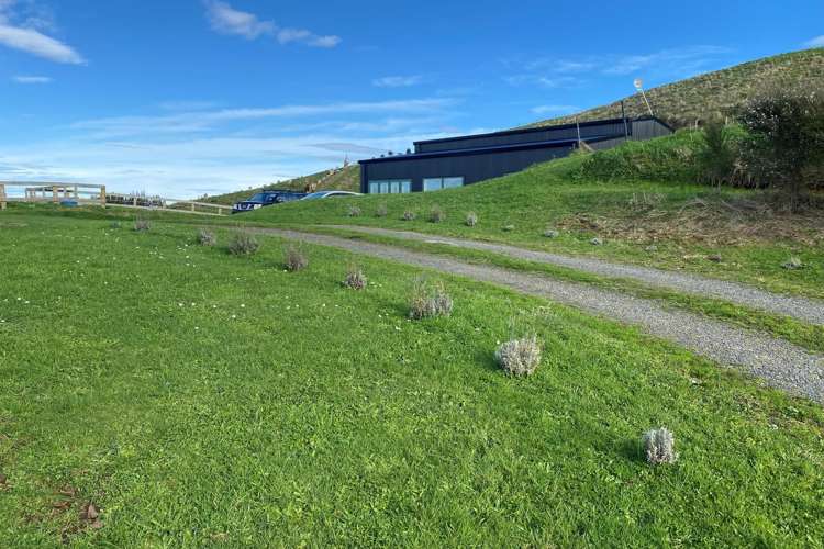 373 Pekanui Road Pirongia_9