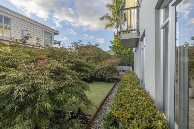 4 Dexter Avenue Mount Eden_24