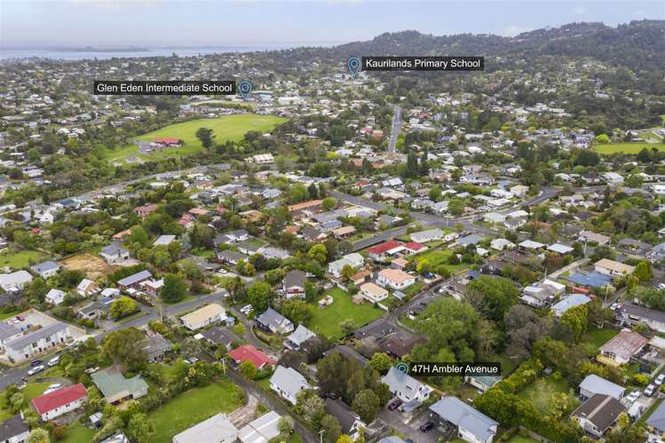 47h Ambler Avenue Glen Eden_17