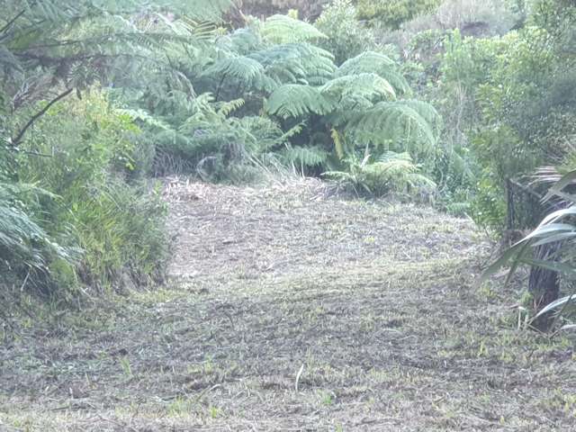 492 Tuateawa Road Tuateawa_2