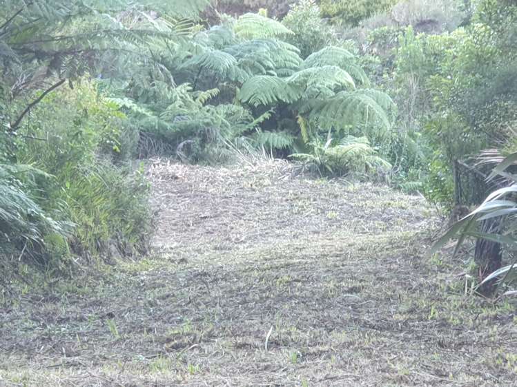 492 Tuateawa Road_2