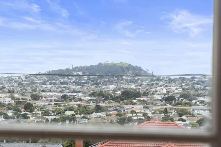 113 Mount Albert Road Mount Albert_9