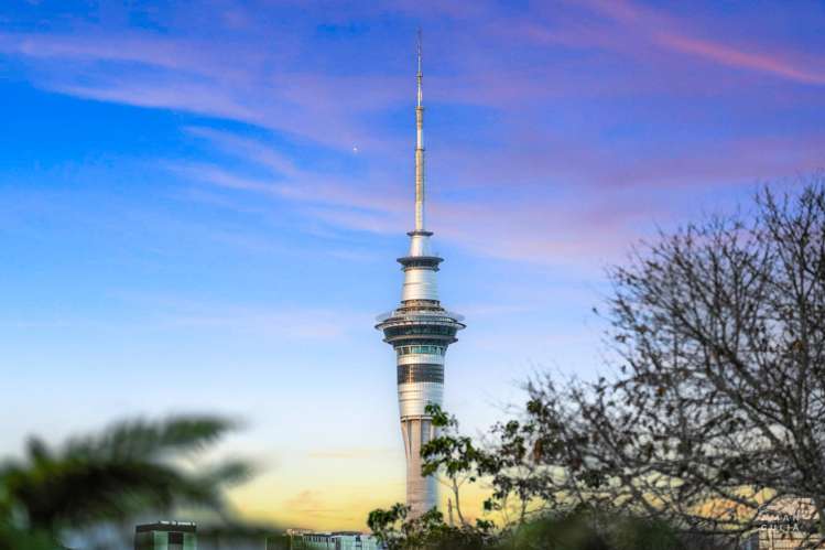 2/39 Anglesea Street_1
