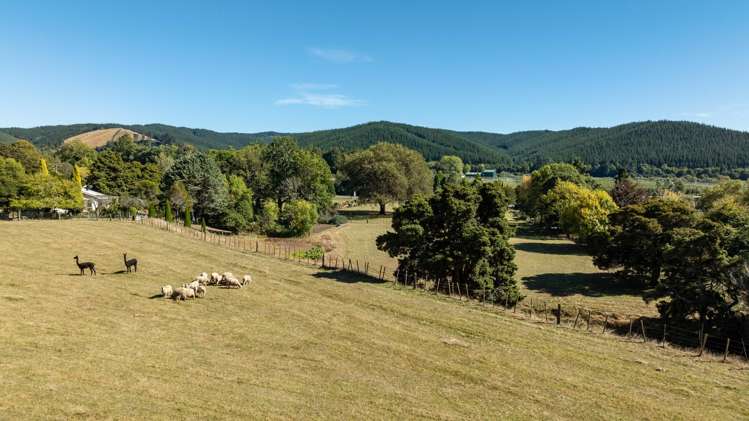 89 Wakefield-Kohatu Highway_5