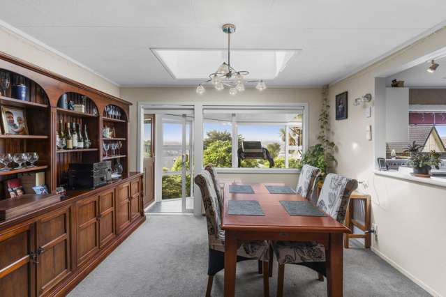 167 Doon Street Waverley_4