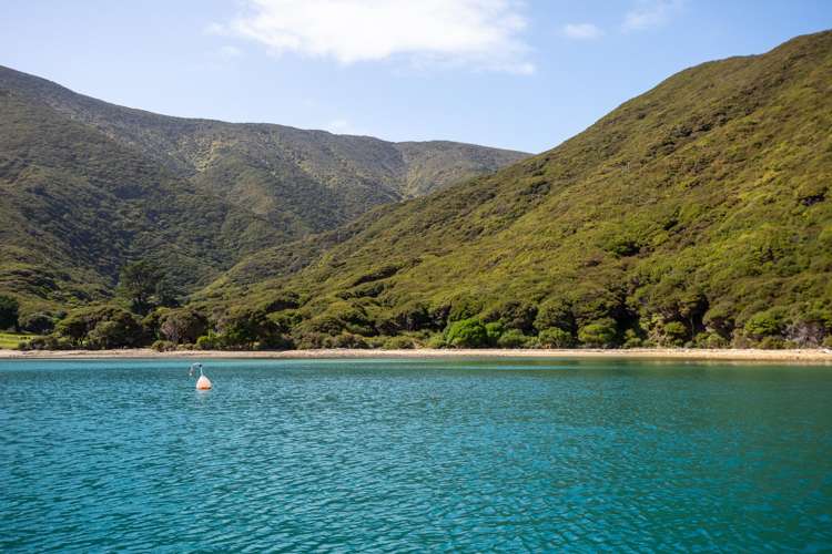 Lot 4 + 5 Te Aroha Bay, Otanerau Bay Marlborough Sounds_75