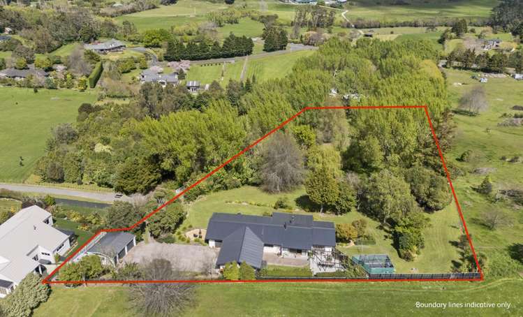 61 Turitea Road Fitzherbert_3