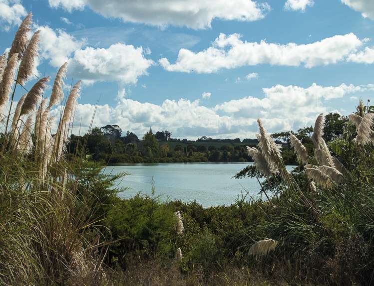 421 Bremner Road Karaka_12