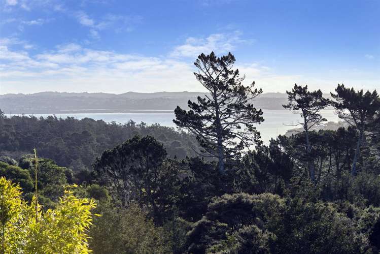 31b Balmain Road Birkenhead_0