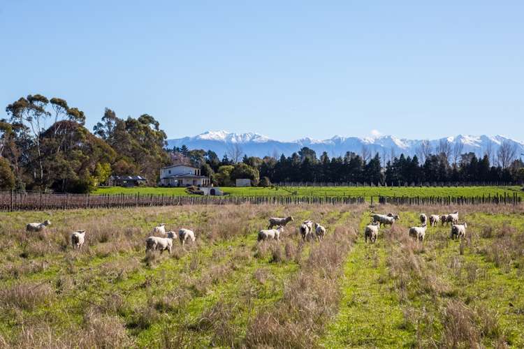 Lot 3 Dakins Road East Taratahi_9