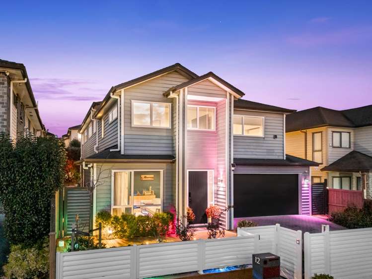 12 Matiki Road Flat Bush_63