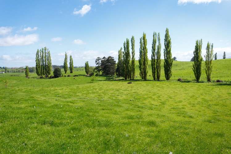 220 Waiomou Road, Okoroire Tirau_15