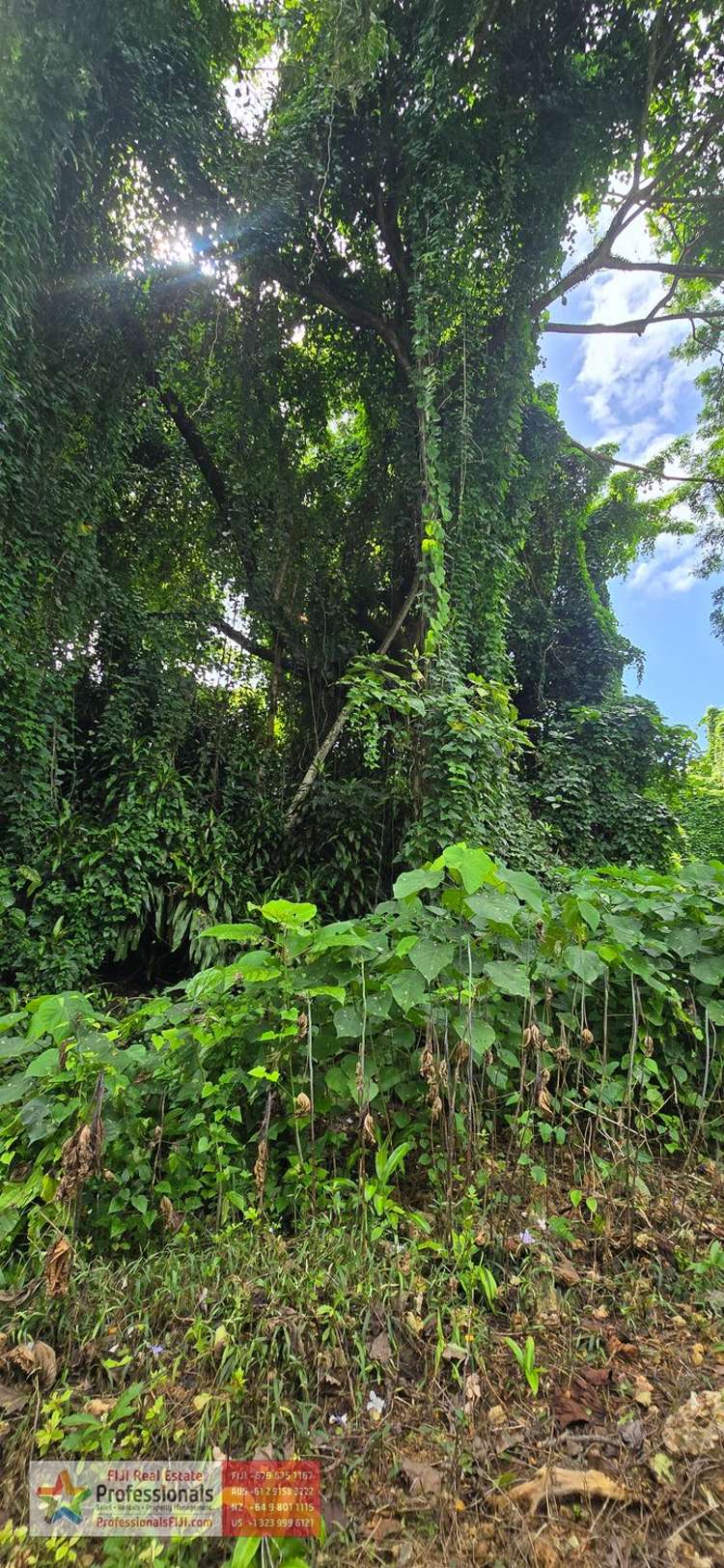 Address withheld Savusavu_22