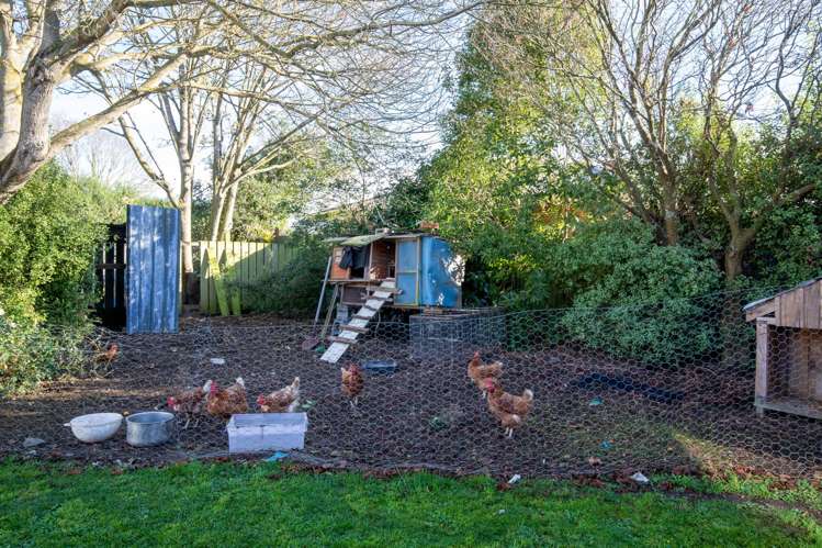 54 Leeston Dunsandel Road Dunsandel_10