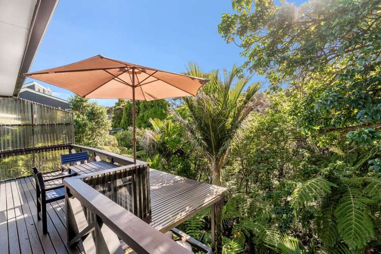 23 Punga Place Whitianga_12