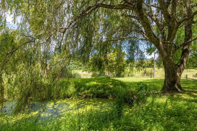 4 Smyth Road Warkworth_12