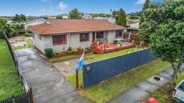 161 Finlayson Avenue Clendon Park_1