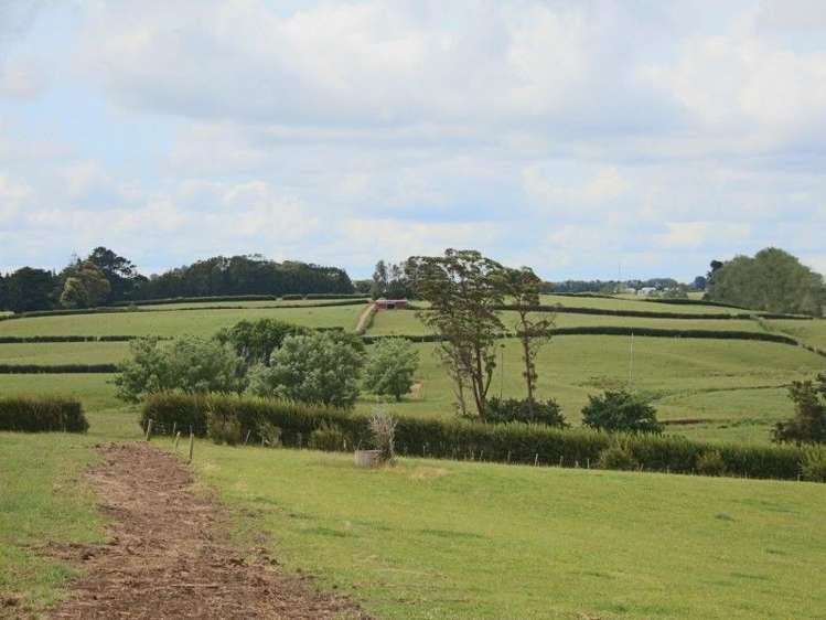 201 Lewis Road Karaka_8