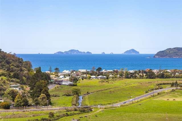 297D Main Road Tairua_2