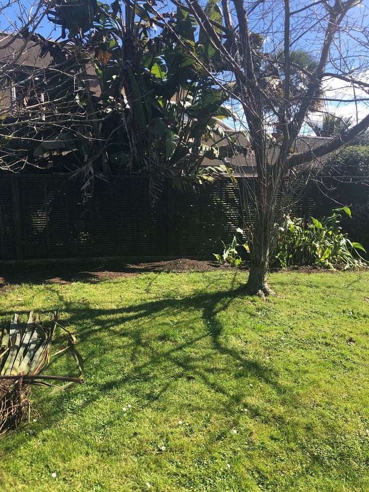110 Ariki Street Karapiro_10