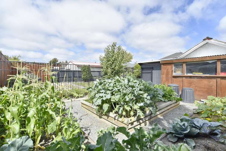 30 Olivine Street Shirley_29