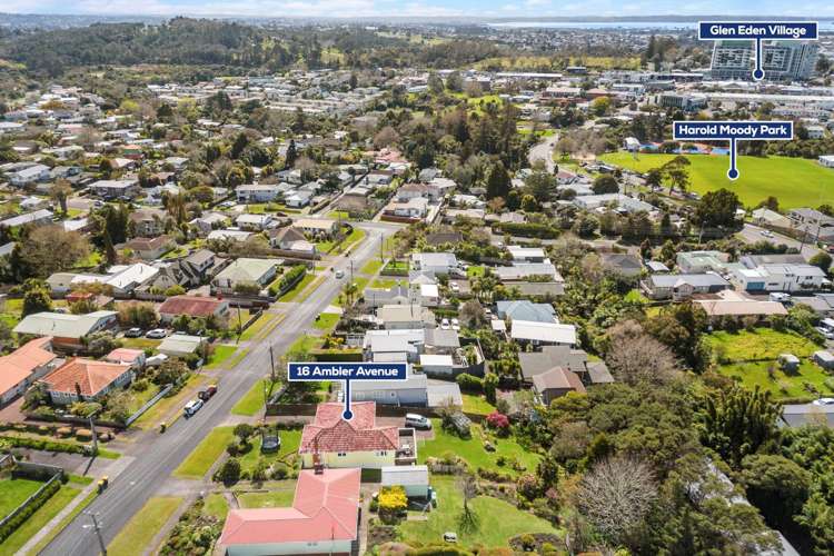 16 Ambler Avenue Glen Eden_11