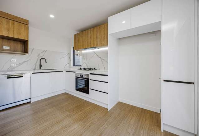 5b Subritzky Avenue Mount Roskill_3