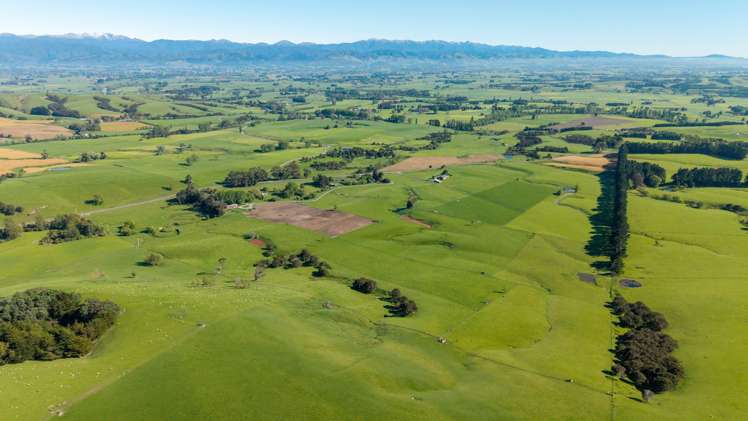 1572 Ponatahi Road Carterton_13