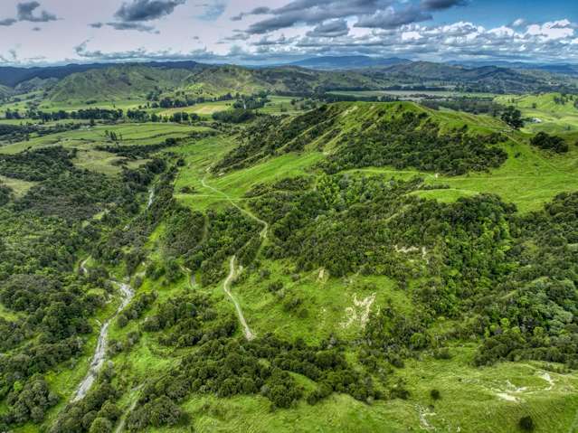 851 Awamate Road Frasertown_3