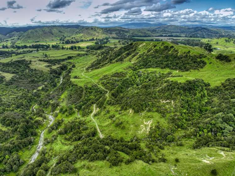 851 Awamate Road Frasertown_3