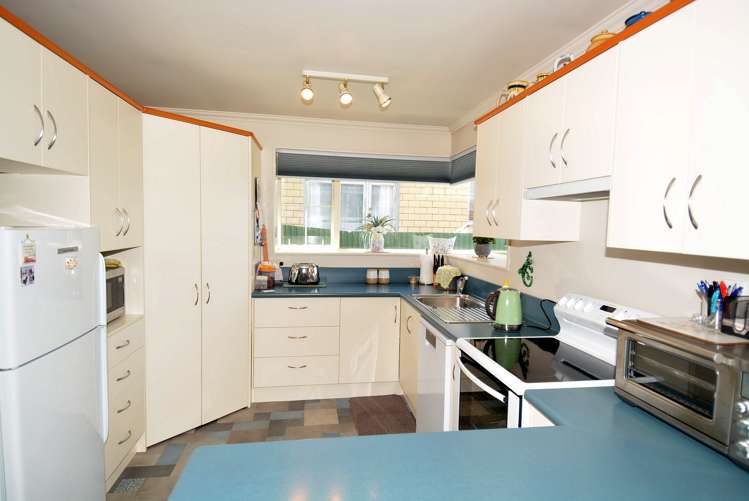 216 Teviot Street Georgetown_8