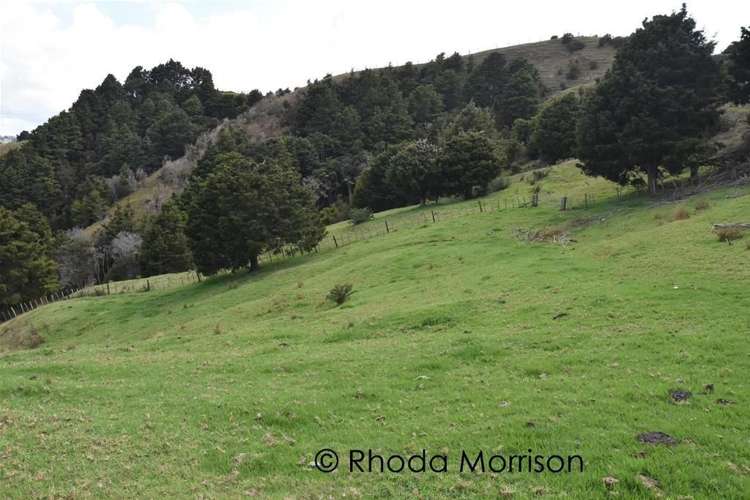 280 Central Road Mareretu_53