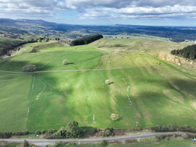 3986 Puketitiri Road Patoka_22