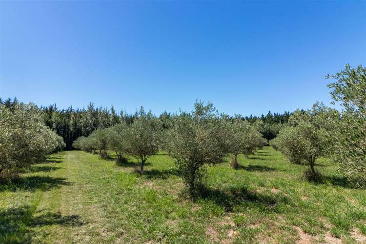 57 Alessio Lane Swannanoa_18