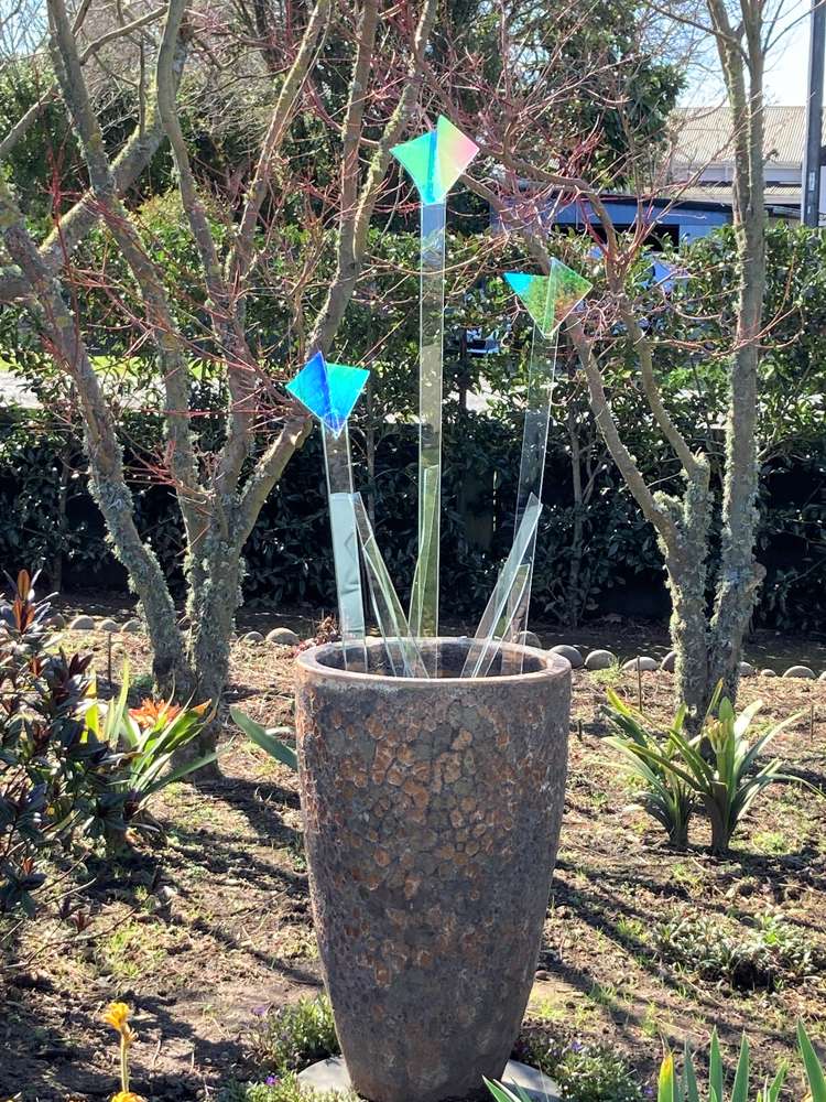 2 Joll Street Waitara_13