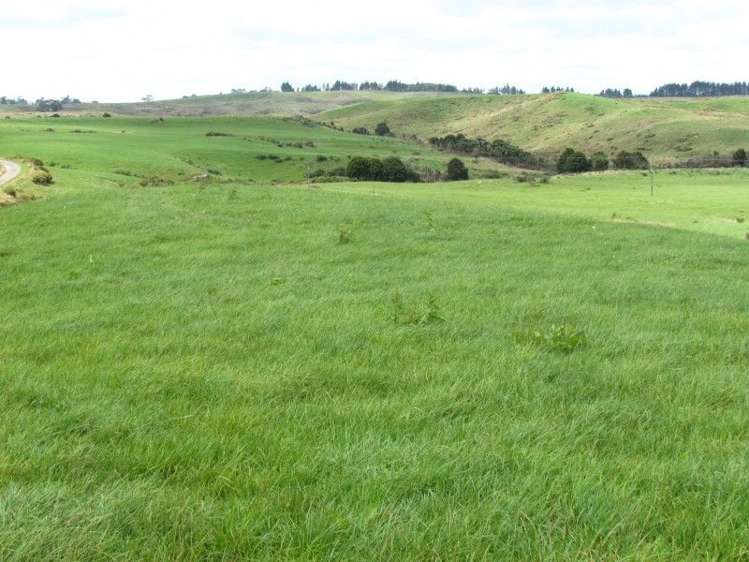 1726 Waiare Road Okaihau_2