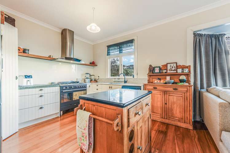 46 Mount Pleasant Avenue_3