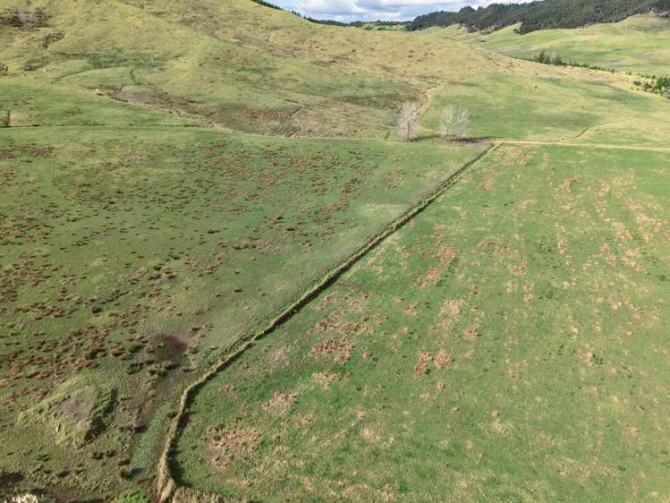 Te Moho Road_5