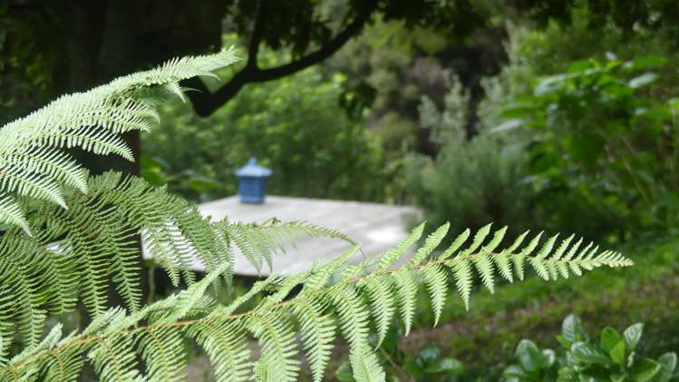 60b Riverview Road Kerikeri_11