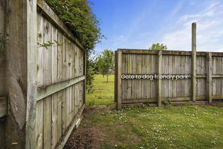 247 Cambridge Road Te Awamutu_12