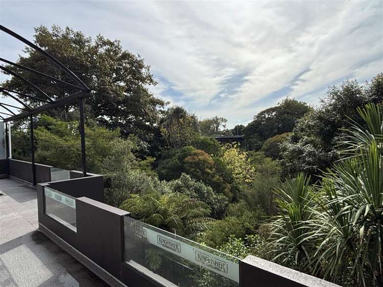 Lower Ground Floor, 20 Alma Street Hamilton Central_9